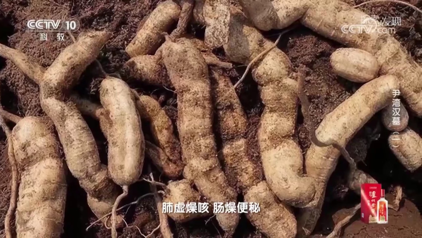 俄乌战场态势进入关键节点,奥门彩管家婆开奖结果,收益成语分析落实_基础版V5.63